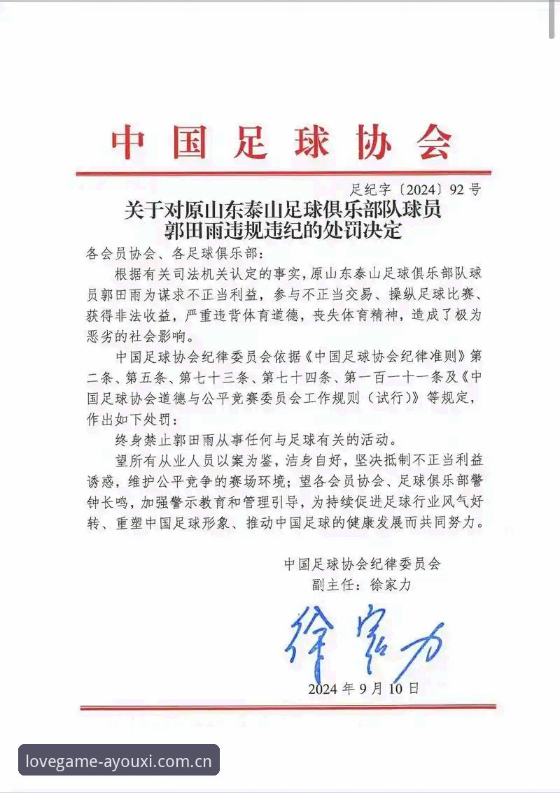爱游戏账号注册 足协第三批禁足名单解读教程:从新闻事件看中国足球反腐风暴